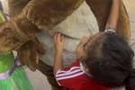 孩子想互动被完全无视！拉菲尼亚妻子怒斥迪士尼🤬：令人厌恶！